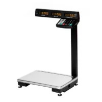 32-TB21(RU)(sostojkoj)RS232(COM)+USB-dlyapodklyucheniyakMikroinvest,1S